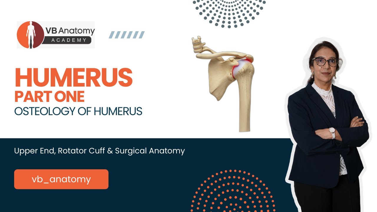 Humerus Part 1 | Osteology of Humerus | Upper End, Rotator Cuff & Surgical Anatomy
