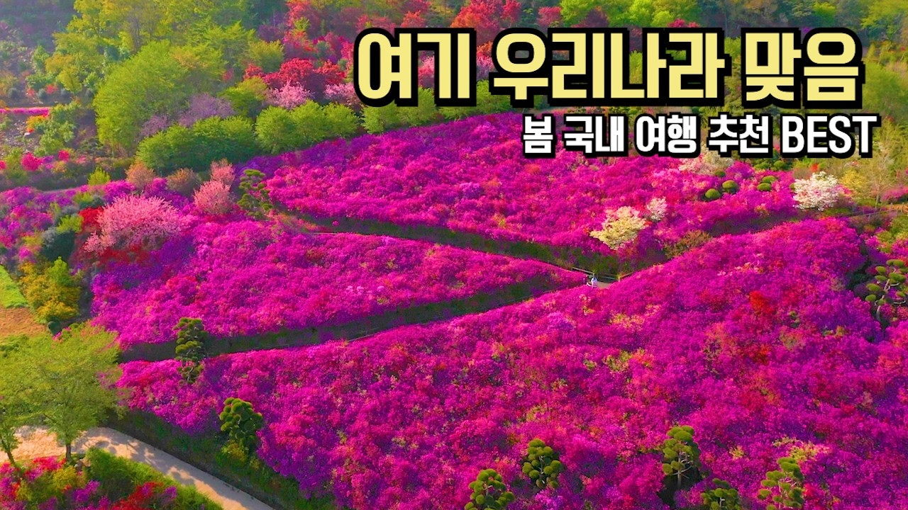 놓치면 후회할 4월 국내 여행 추천 BEST #여행추천 #국내여행