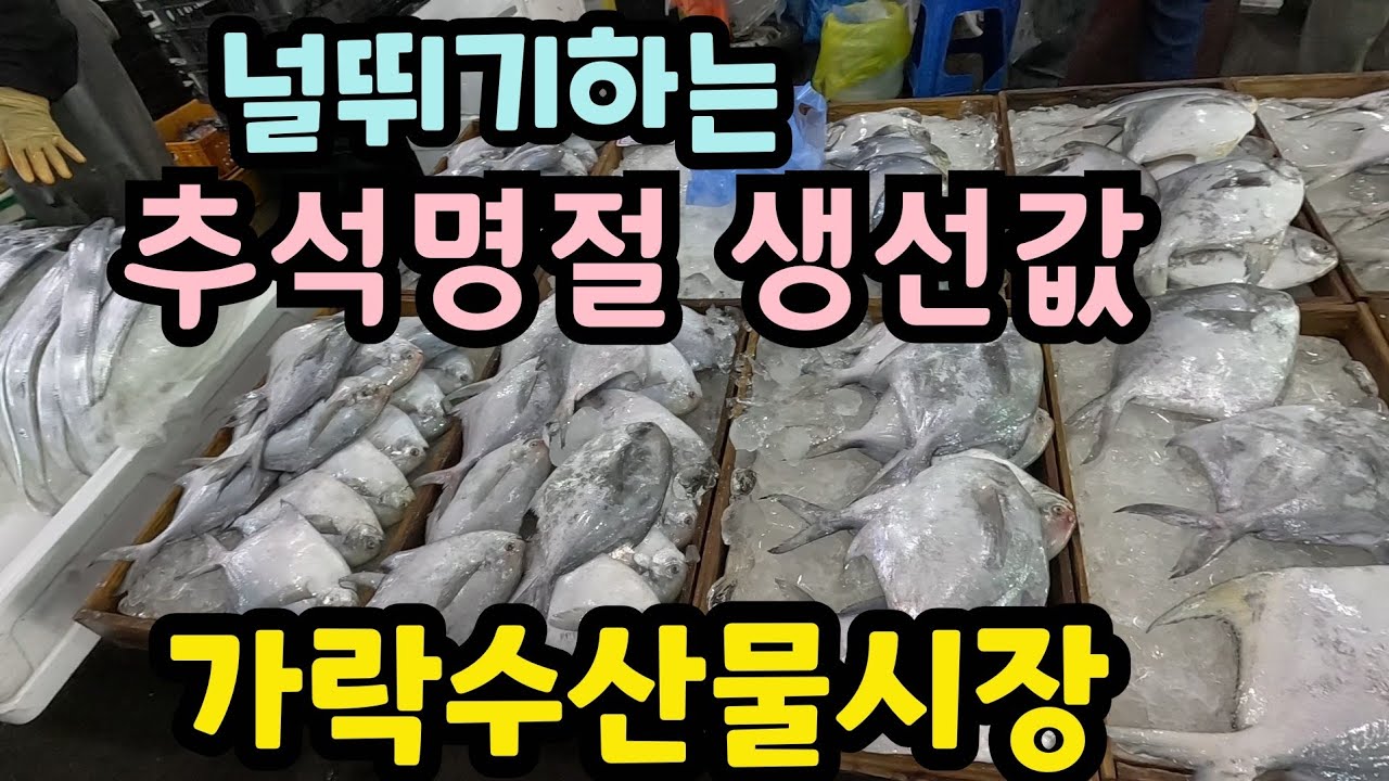 활전어 1Kg 만원 참조기 1박스 삼만오천원/가락동 수산물시장