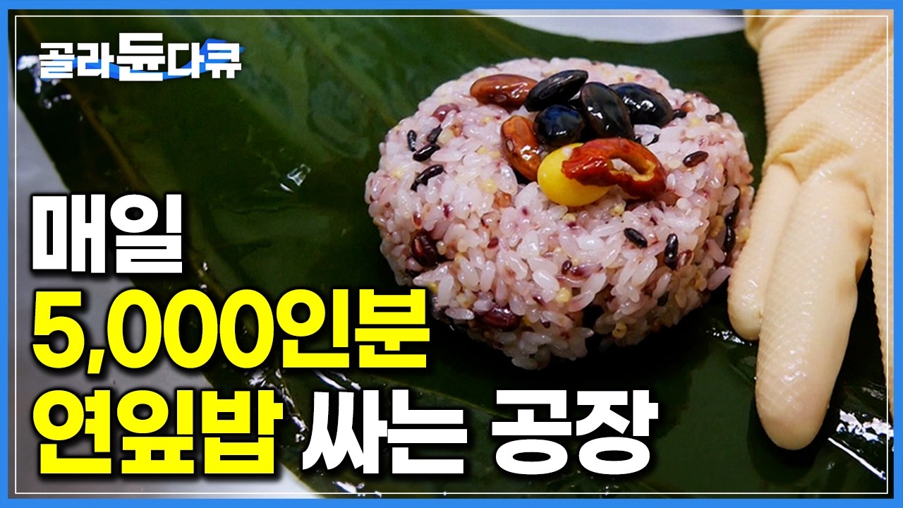 보기 좋은 밥이 먹기도 좋다! 100% 수작업으로 윤기 좌르르 흐르는 건강 영양밥 만드는 연잎밥 공장｜극한직업｜#골라듄다큐