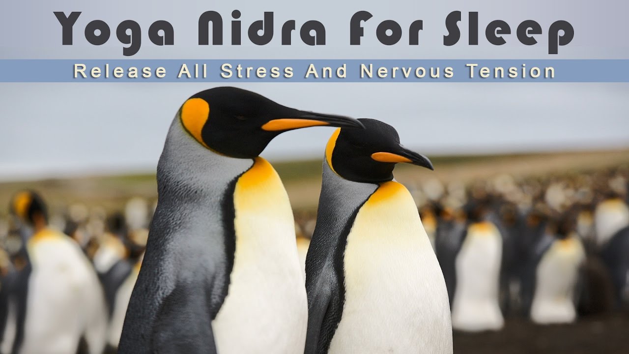 Yoga Nidra for Sleep - Release All Stress And Nervous Tension While Falling Asleep