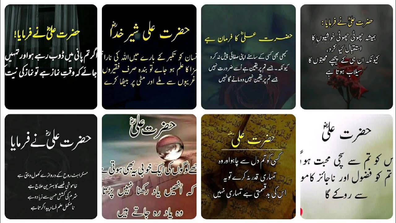 Hazrat Ali quotes in urdu|Hazrat Ali quotes status|Hazrat Ali quotes about life|@Noordiary| 