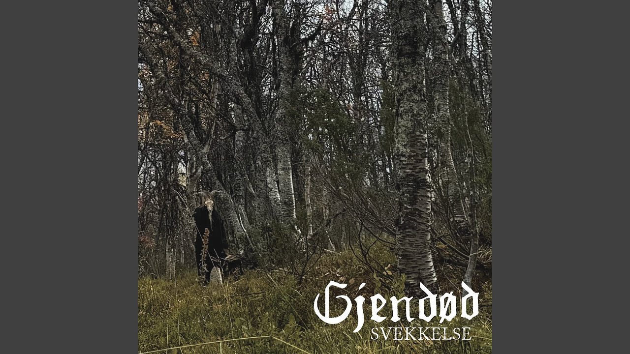 En staur i hjertet