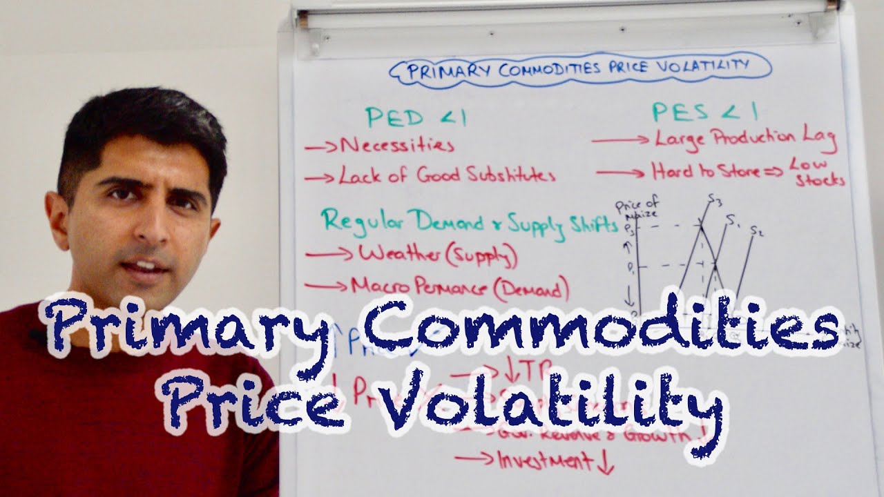 Y1 40) Primary Commodities Price Volatility - Causes and Consequences
