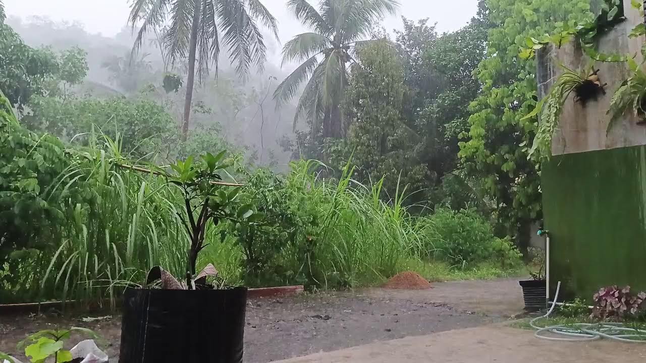 Gentle Rain Sounds for Deep Sleep & Relaxation, Beat Insomnia (No Music, 4K Night Rain Ambience)