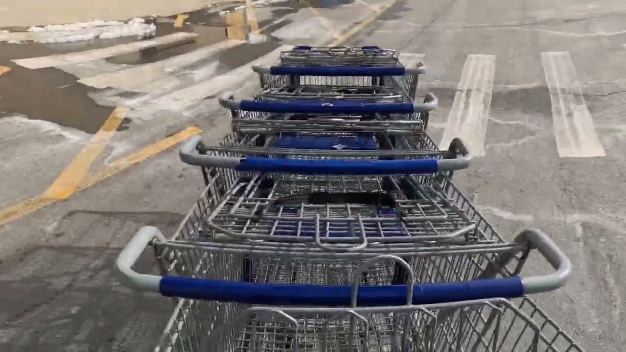 Walk the lot with me Watch me Push Carts and be a front End Loader for Lowe’s 