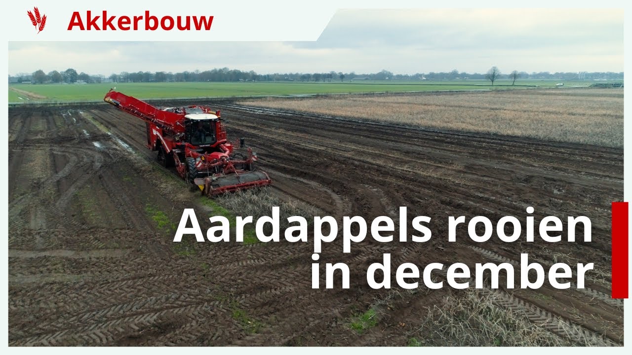 Aardappelen rooien in December: uitdagingen voor akkerbouwer Robin Kuper
