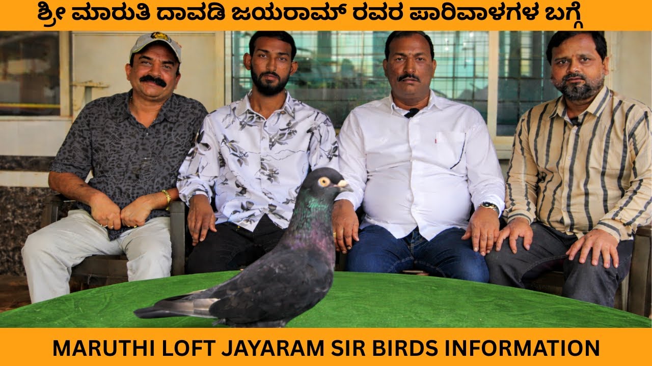 ಶ್ರೀ ಮಾರುತಿ ದಾವಡಿ ಜಯರಾಮ್ ರವರ ಪಾರಿವಾಳಗಳ ಬಗ್ಗೆ /MARUTHI LOFT JAYARAM SIR  BIRDS INFORMATION