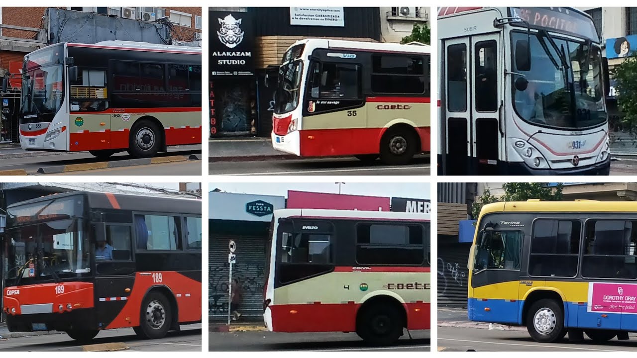 transporte del Uruguay || buses urbanos eléctricos, híbridos y más | por puente paso molino