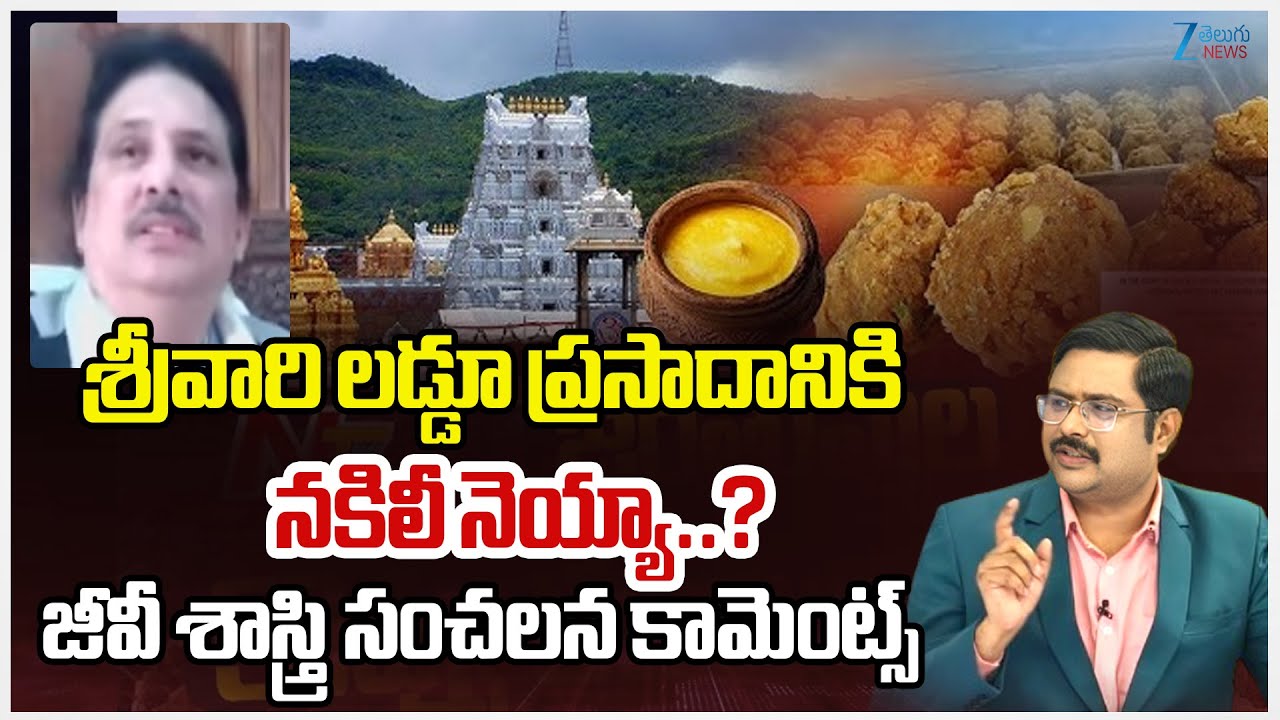 GV Sastry Counter To YCP | Tirumala Ghee Adulteration Case | 'Maha Papam' | #dna | Zee News