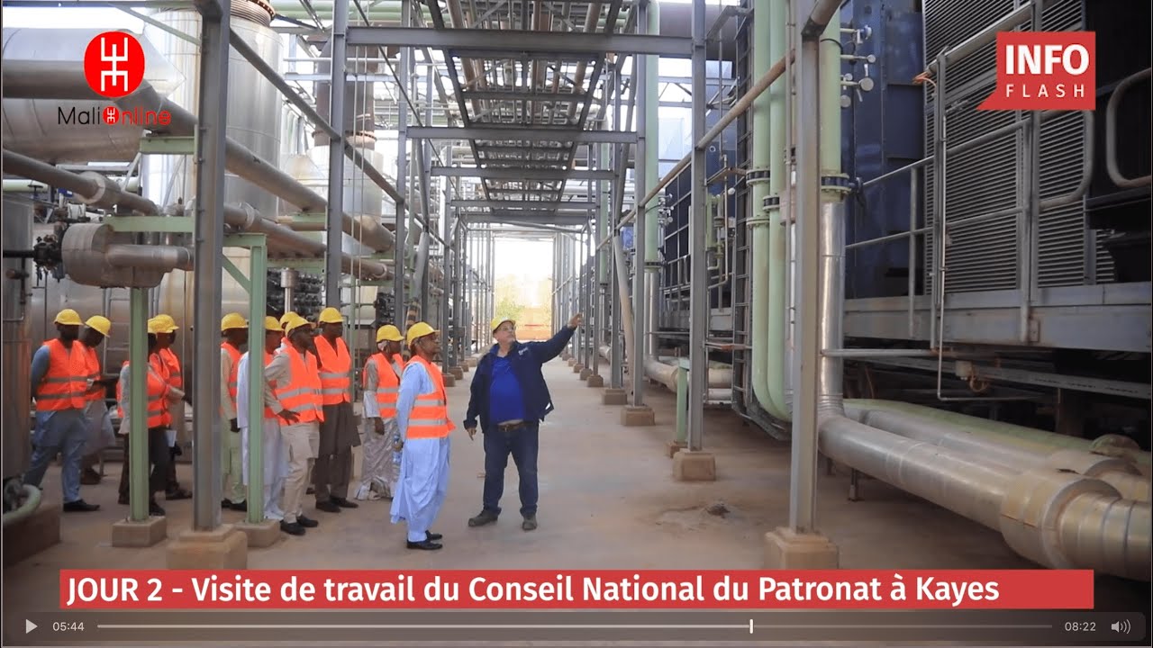 JOUR 2 - VISITE DE TRAVAIL DU CNPM À KAYES