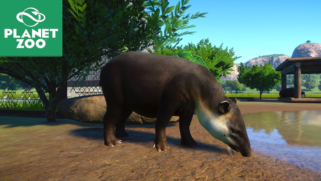 NOVA S&Eacute;RIE DE PLANET ZOO!