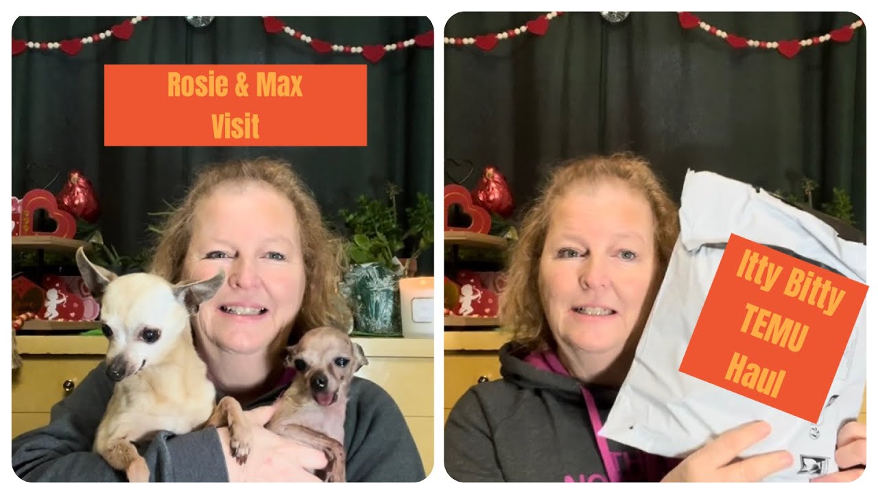 Itty Bitty TEMU Haul - 678