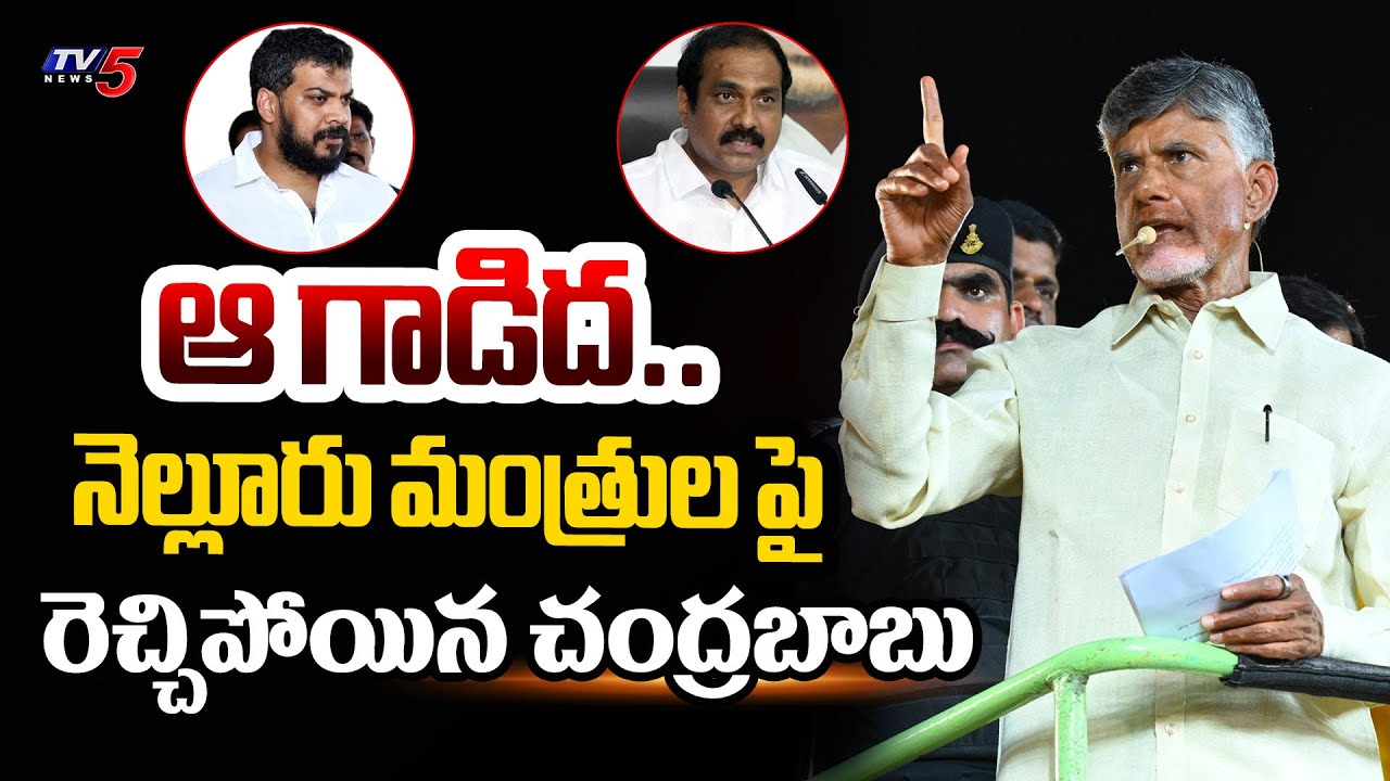 ఆ గాడిద..| Chandrababu Sensational Comments On Nellore YCP MLAs Ministers | AP Elections 2024 | TV5