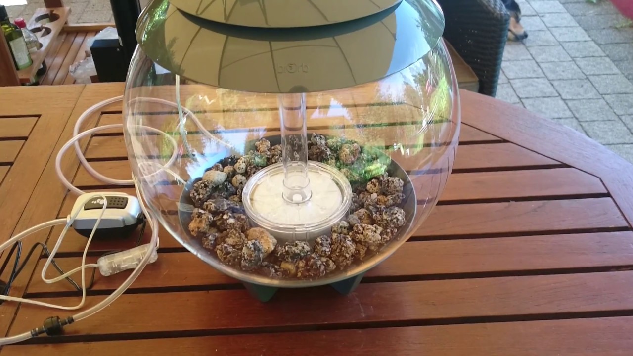 biOrb Aquarium Halo von biOrb24.de - auspacken - unboxing - erste Installation