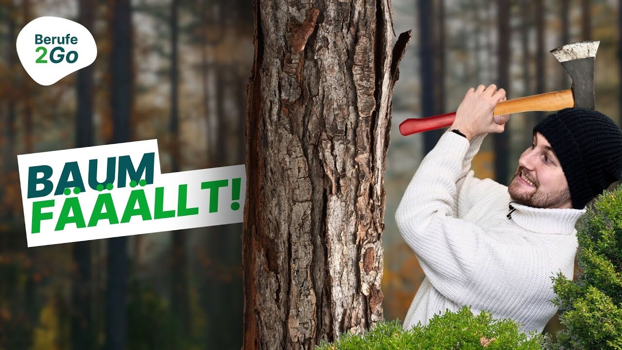 Forstwirt: Beruf, Ausbildung & Gehalt! 🌲🌳 | Berufe2Go