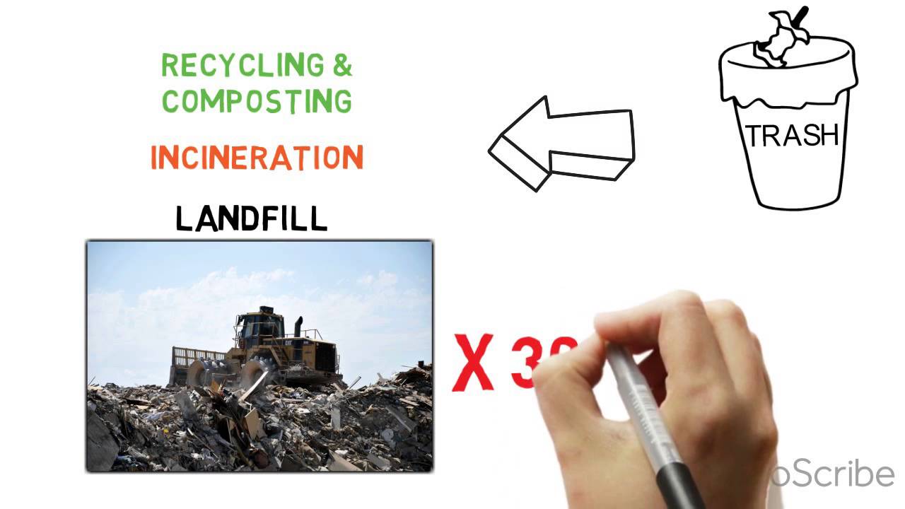 What do Environmental Engineers do? UMBC CBEE