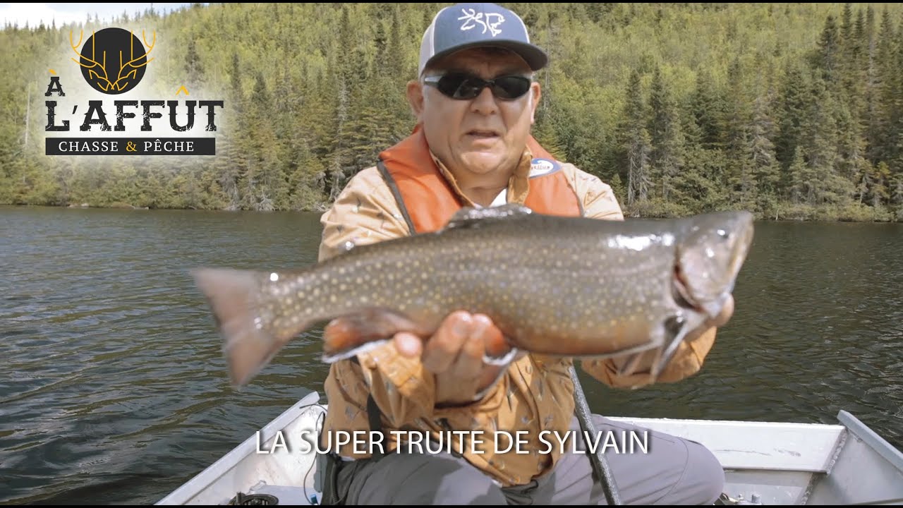 À l'affût: Pêche à la truite dans Charlevoix