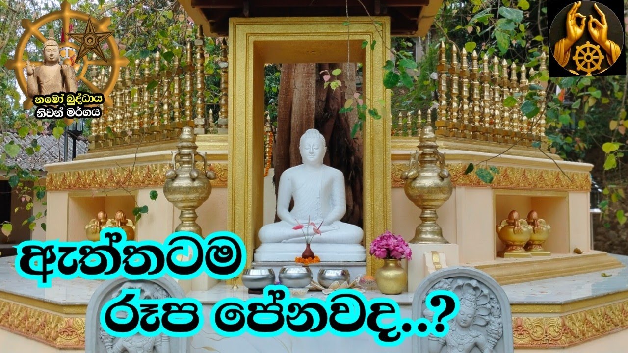 ඇත්තටම රුප පේනවද අපට පෙන දේ මොනවද   niwan margaya 