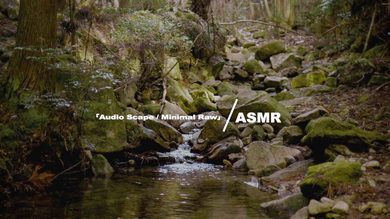 「Audio Scape / Minimal Raw」02