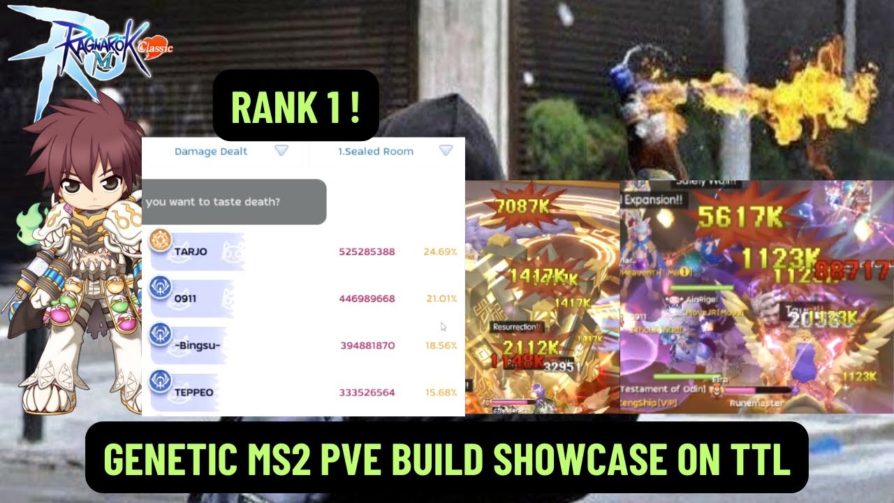 TARJO VERY LOW SPENDER GENETIC MS2 PVE BUILD ON TTL | RAGNAROK M CLASSIC