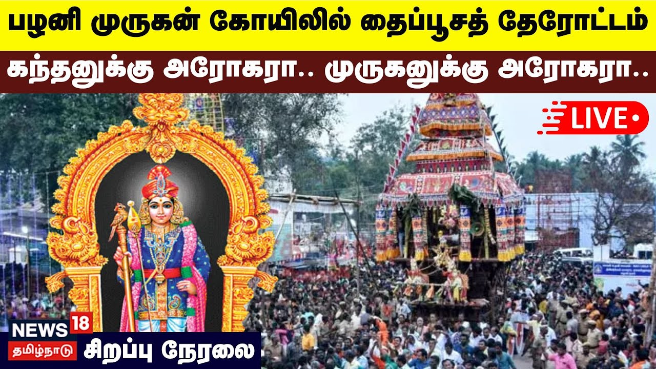 Thaipusam 2025 | Palani Murugan Temple | பழனி முருகன் கோயிலில் தைப்பூசத் தேரோட்டம் | N18L