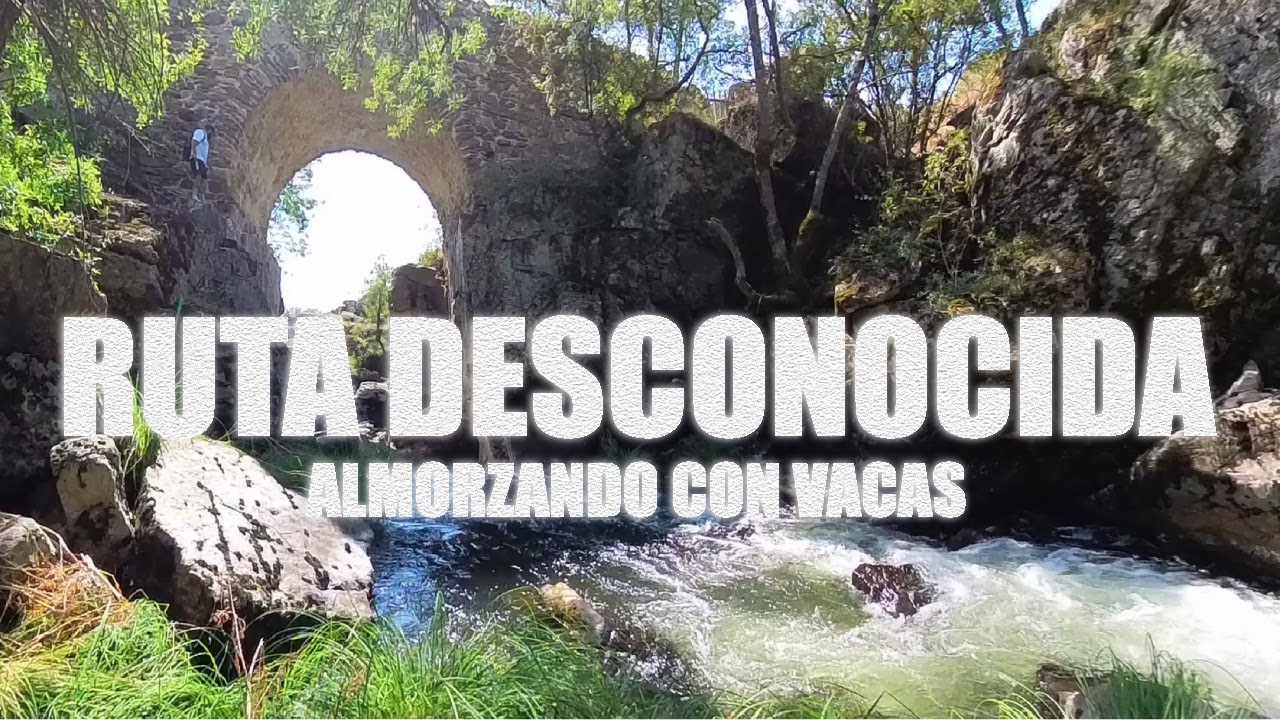 ALMORZANDO con VACAS - RUTA DESCONOCIDA por LOZOYA