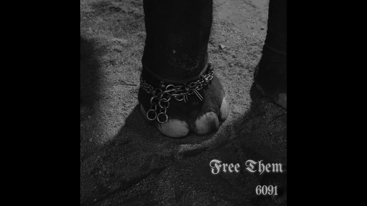 6091- Free Them
