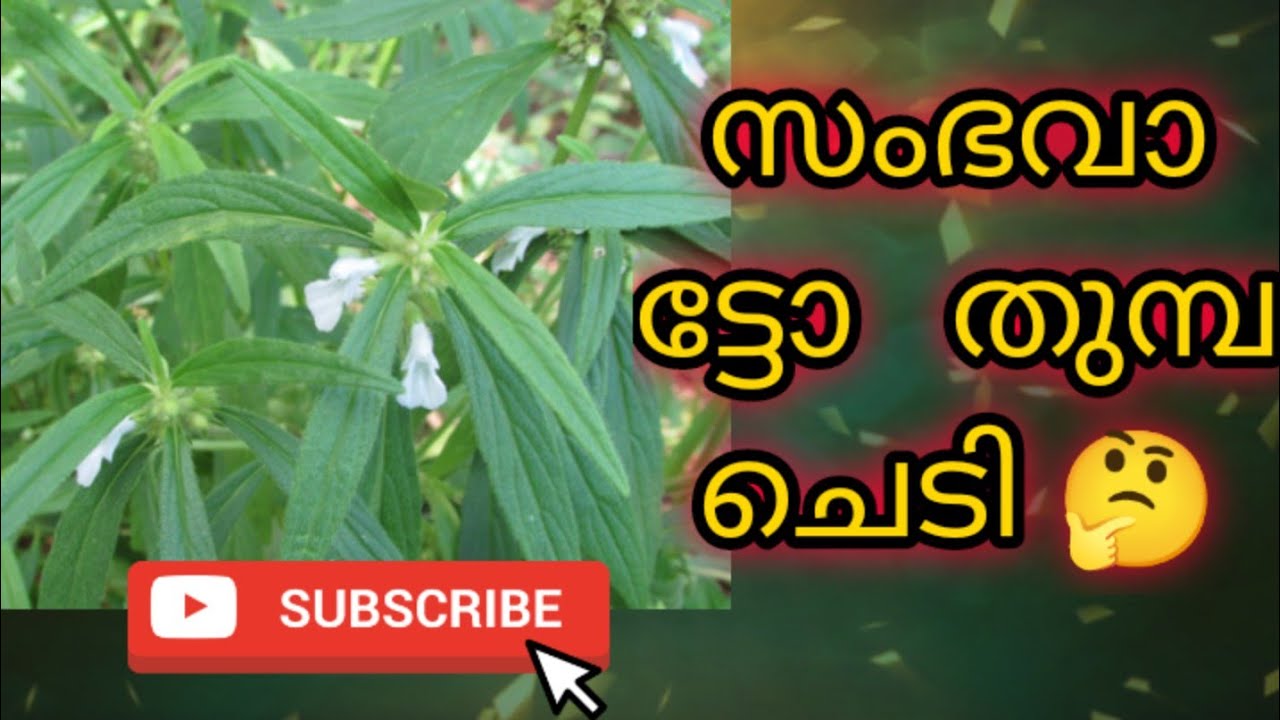 bottle art using dry leaves/thumba leaves bottle art/simple and creative bottle art