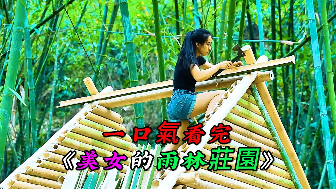 一口氣看完《美女的雨林莊園》