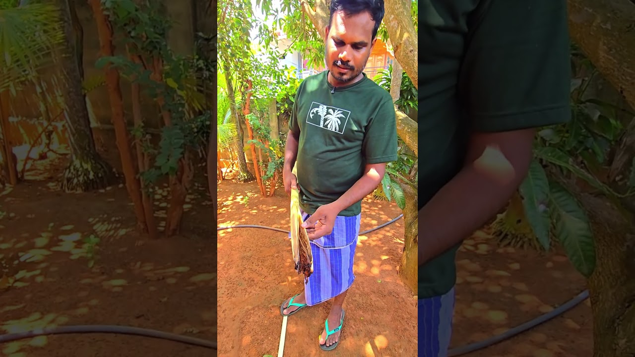 இதற்கு என்ன செய்யலாம் | Help me 