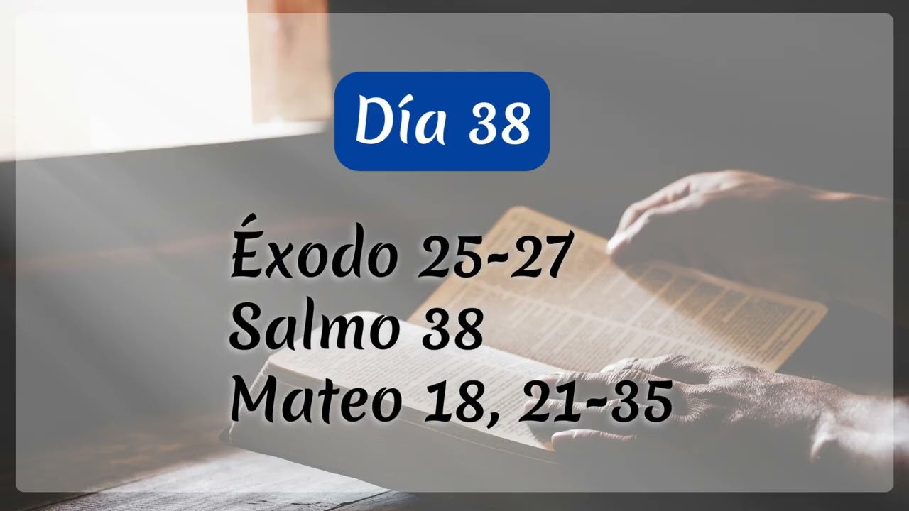 Dia 38 Perdonar como Dios me perdonó