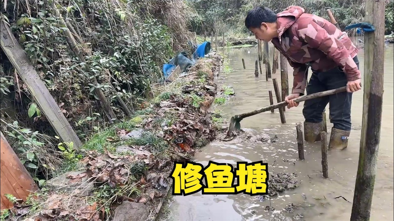 雨锅的鱼塘漏水严重，买来水泥沙子准备修，可惜忙到半天家里有事