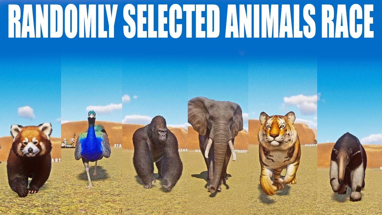 Randomly Selected Animals Speed Race in  Planet Zoo included Tiger, Gorilla, Anteater, Panda