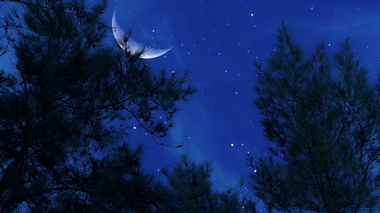 Cricket Conversations | Binaural Nighttime Ambience | 10 Hours | Nature Sleep Sounds