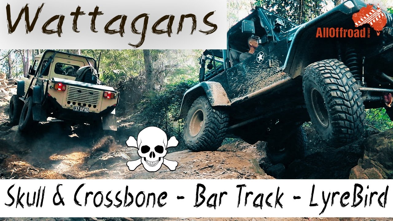Wattagans 4WD | Skull & Crossbone | Bar Track | Lyrebird | ALLOFFROAD #116