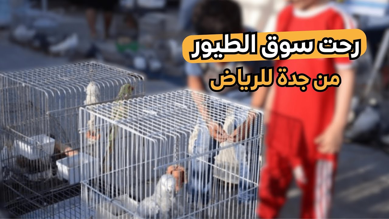 كانت اطول رحلة ممتعة ⏱️