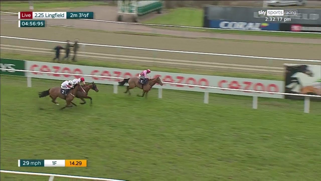 Brave performance! Brewin'upastorm beats Goshen and Darver Star at Lingfield!
