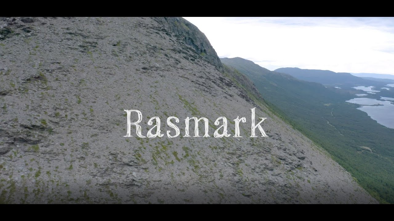 Naturtyper i Norge: Rasmark