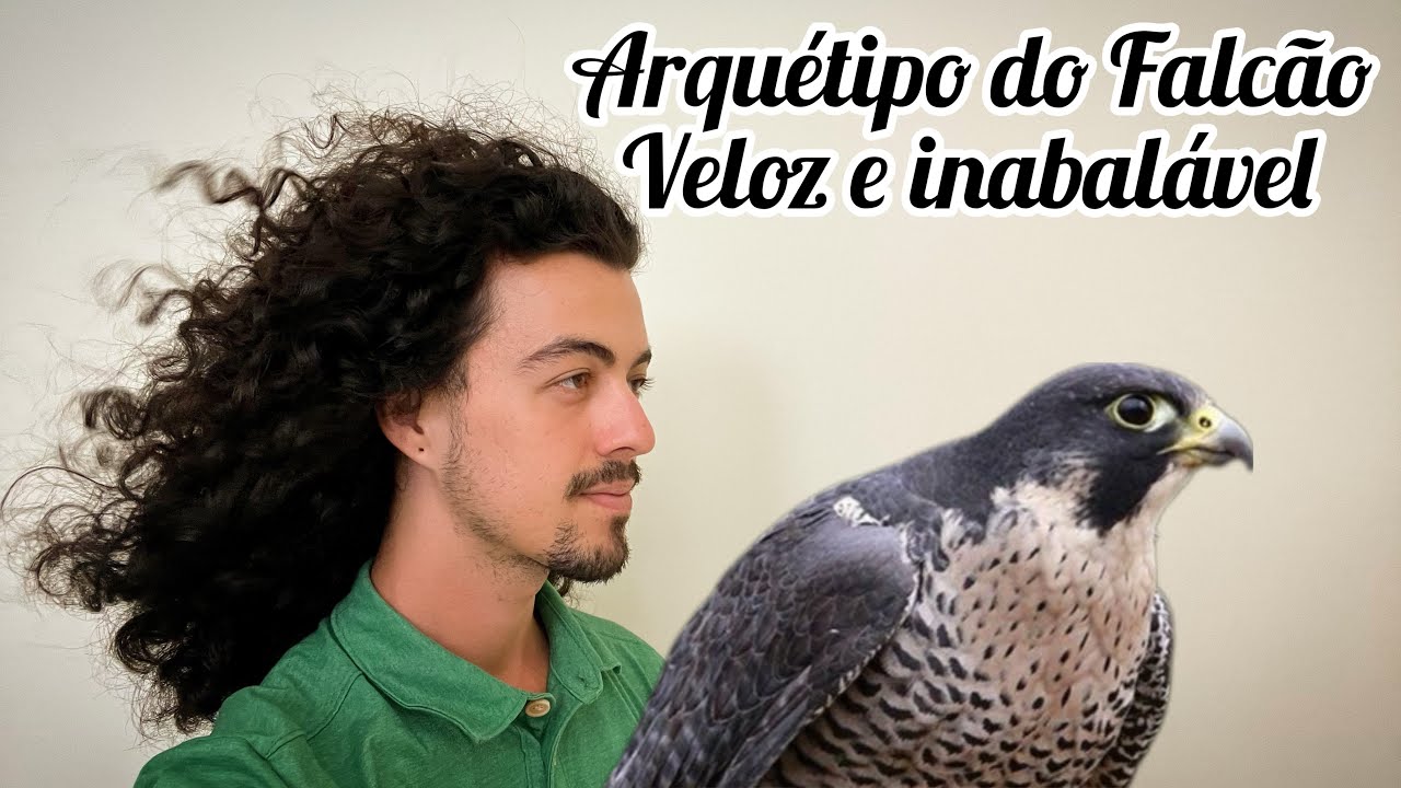 Arquétipo do Falcão | Minha experiência