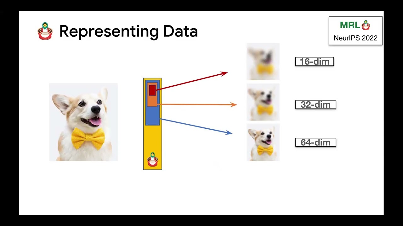 Aditya Kusupati - Matryoshka Principles for Adaptive Intelligence