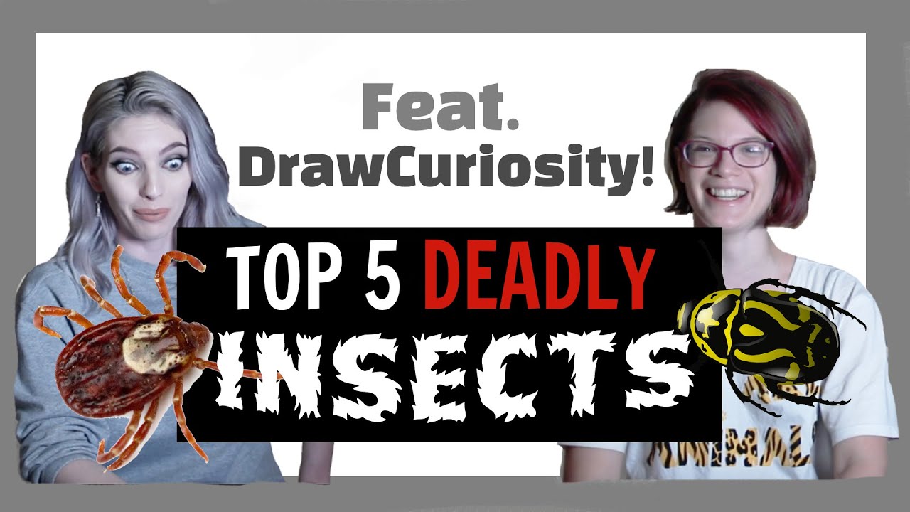 5 Deadly Insects ft. Draw Curiosity! [CC]