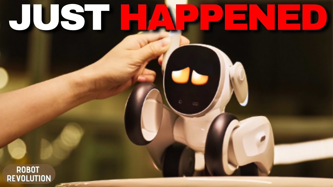 This Is Why Robot Loona Will CHANGE Your Life!