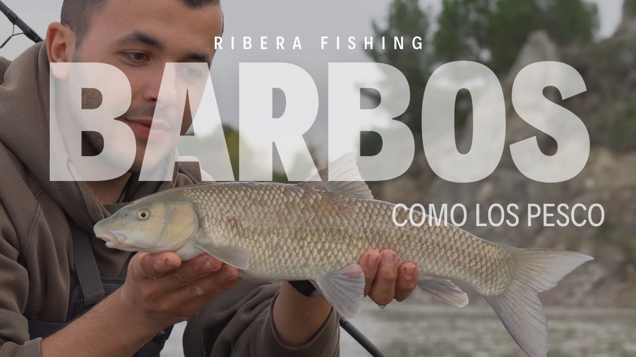 COMO PESCAR BARBOS EN RIO, TODOS LOS CONSEJOS!!