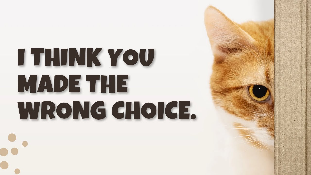 This Never Ends Well