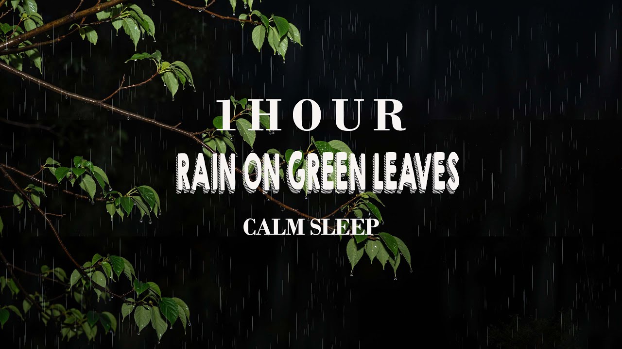 Soft Night Rain Sounds for Calm Sleep, Deep Relaxation, and Undisturbed Rest | ASMR