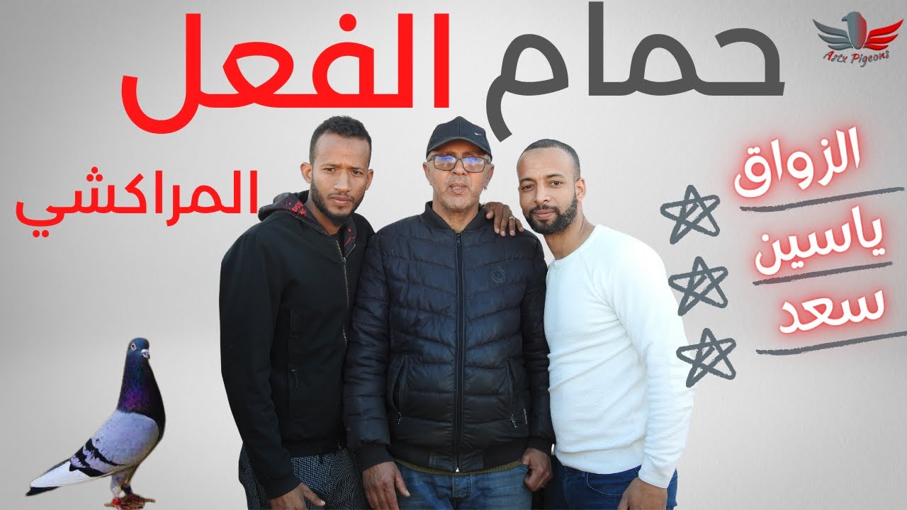 لقاء مع أحد أهرامات تربية حمام الطيران العالي | الفعل المراكشي | Morrocan Highflyers