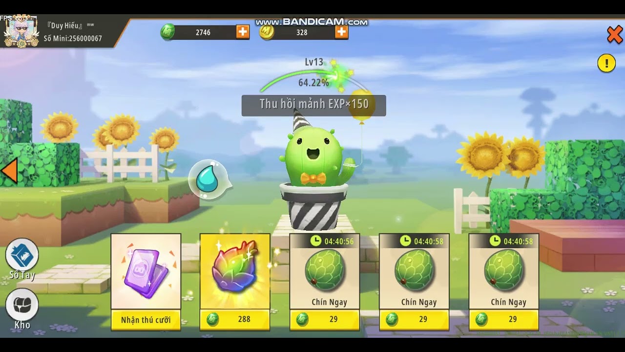 Húp 10k Đậu Với Quả Vàng Trong Vườn | Mini World