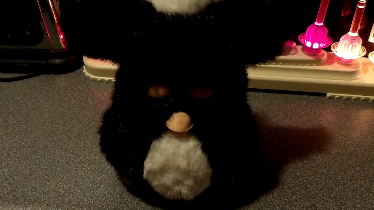 Meet Baby Freddy (And Adopt Out Your Unwanted Furby)