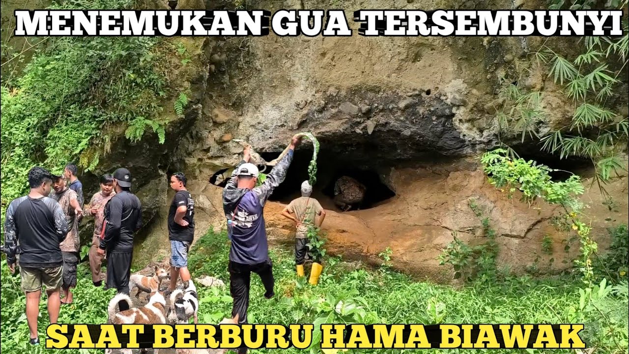 DIKIRA SARANG MACAN, TERNYATA GUA TERSEMBUNYI BERHASIL DITEMUKAN SAAT BERBURU BIAWAK